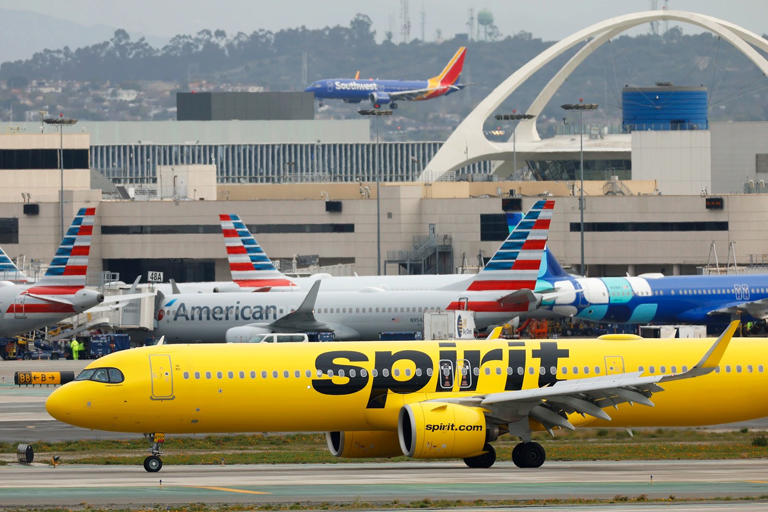TikToker proposes 'let's buy Spirit Airlines.' Thousands want in