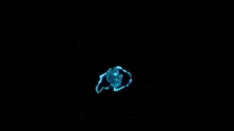 3D-printed algae structures could offer carbon-negative alternative to ...