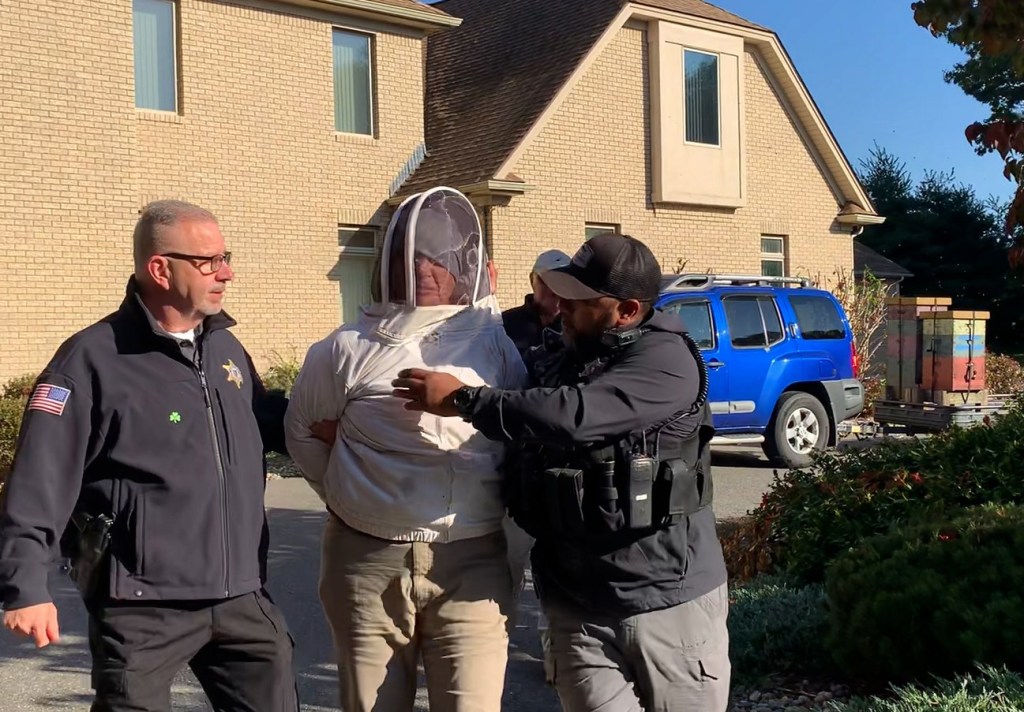 Woman unleashes swarm of bees on police to protect friend from eviction