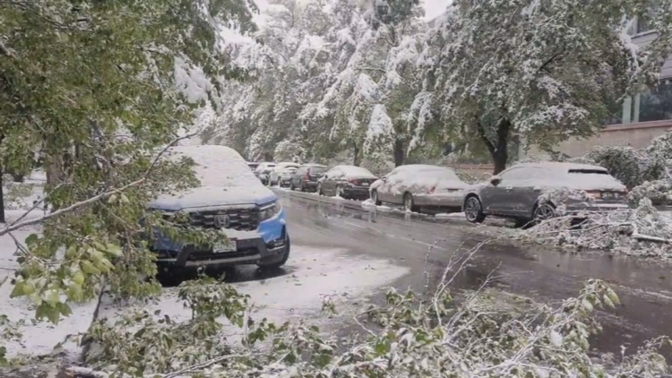 Heavy wet snow blankets Colorado Wednesday, leads to downed trees ...