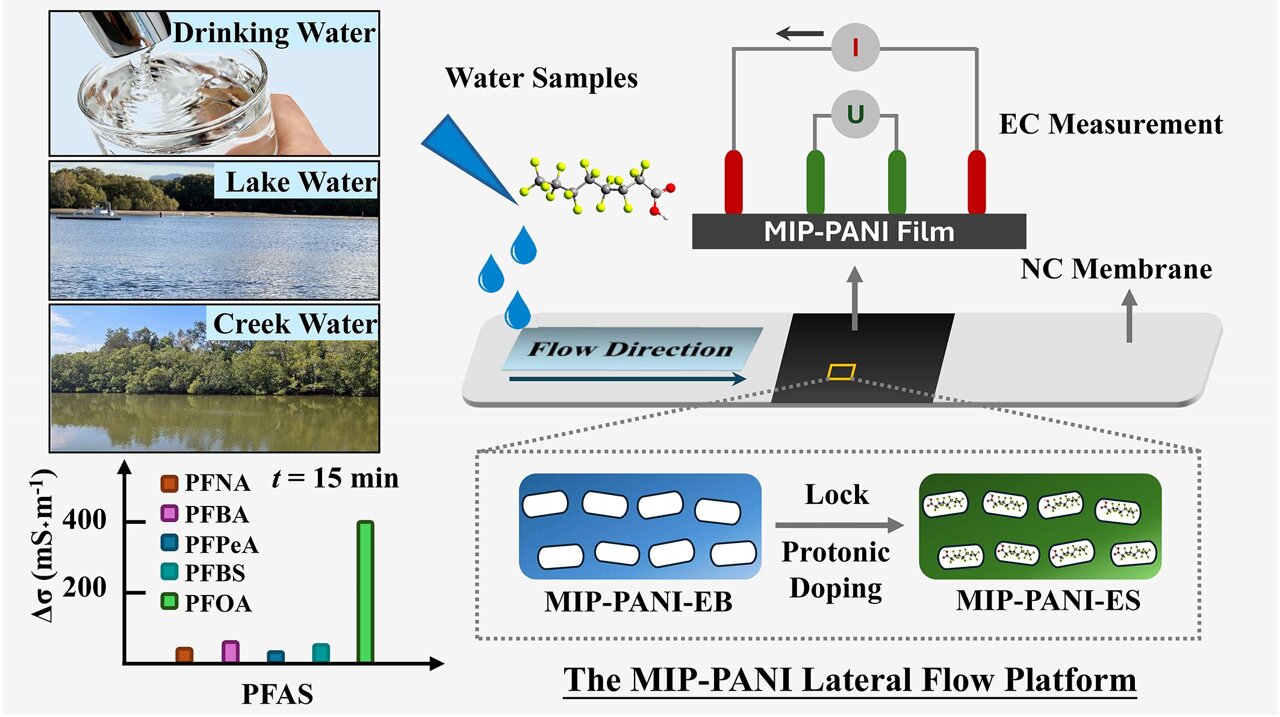 Portable sensor detects PFAS in water on-site, cutting need for costly ...