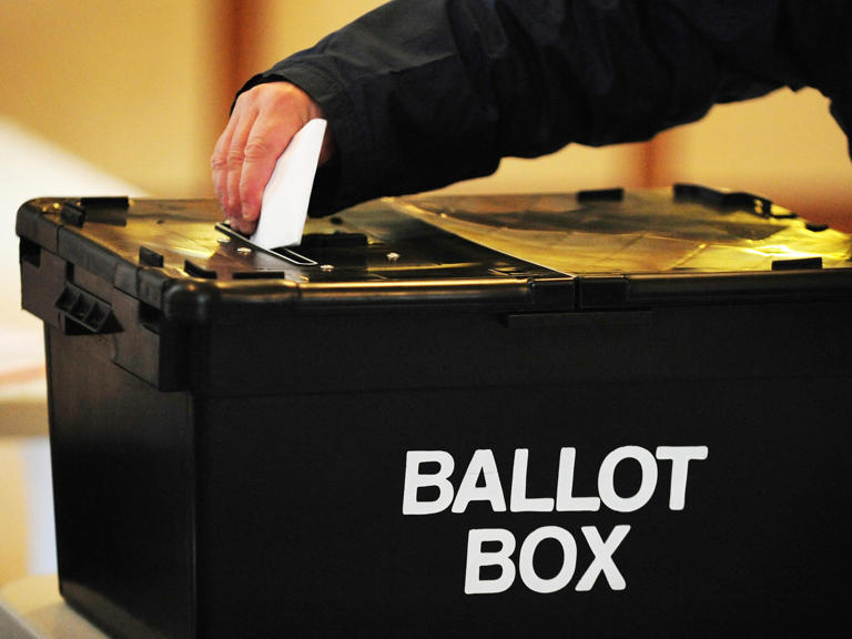 All you need to know as Hampshire residents go the polls for the local ...