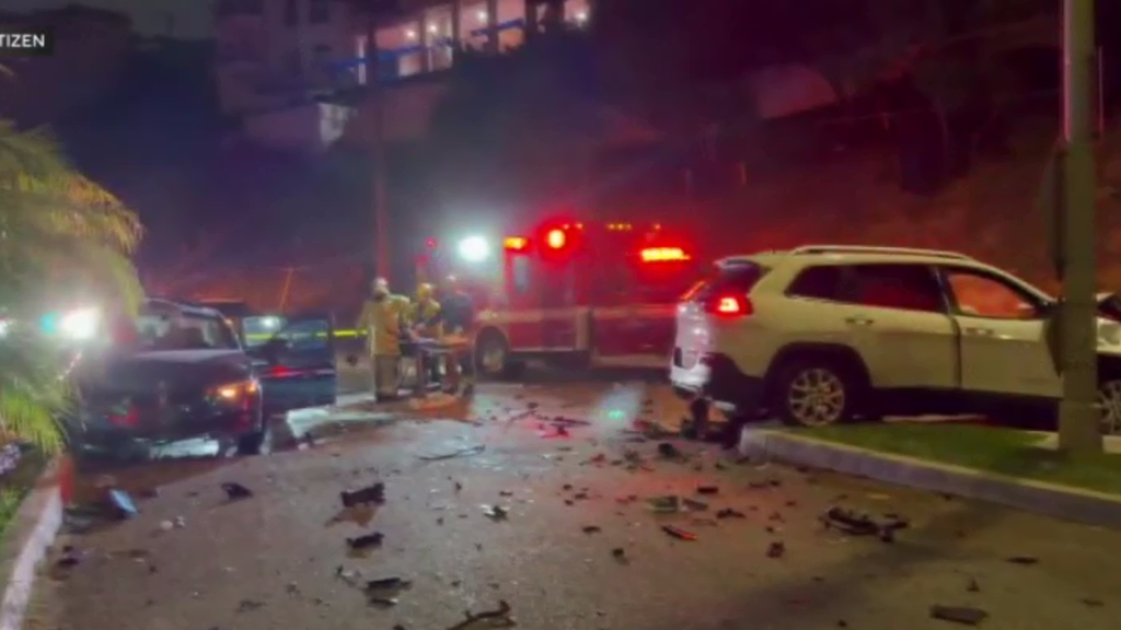 Hit-and-run suspect arrested in Playa del Rey crash that killed man, 1 ...