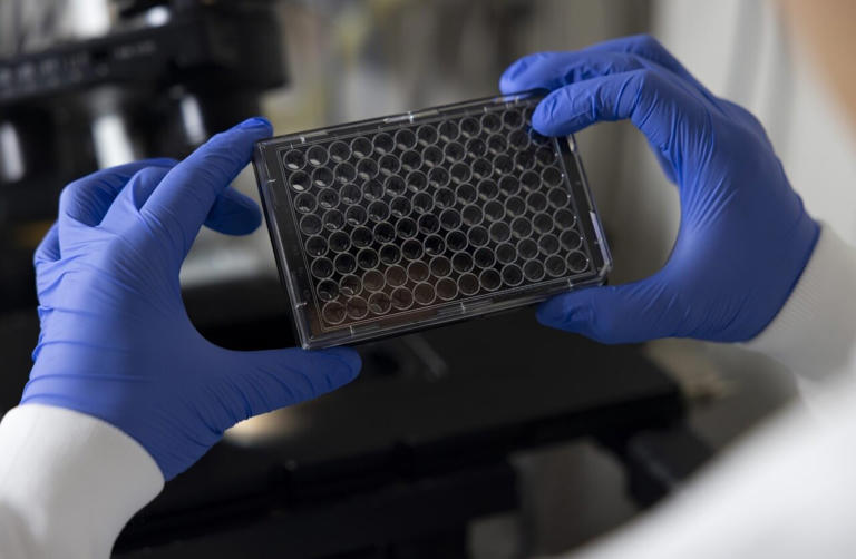 Death-defying protein found in tardigrades preserves synthetic cells