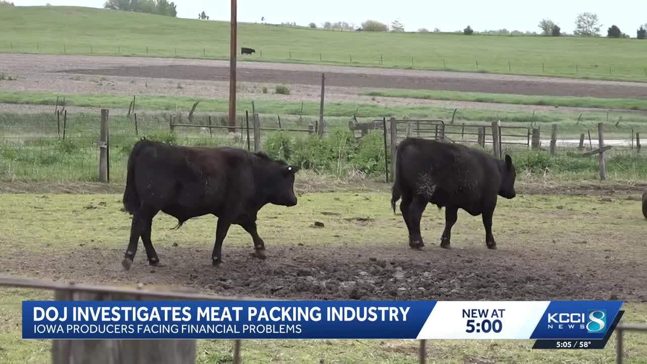 Iowans react to meat industry investigation