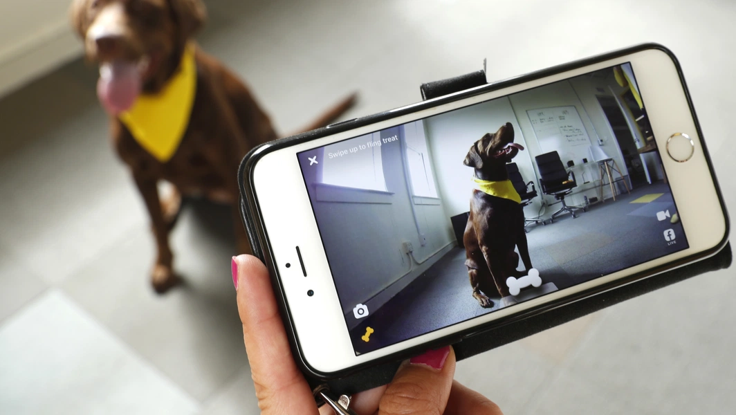 Smart cameras expand from home security to pet care