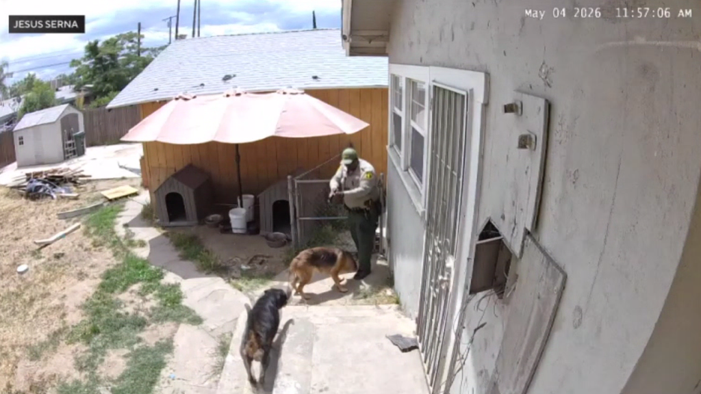 San Bernardino County deputy fatally shoots dog while responding to ...