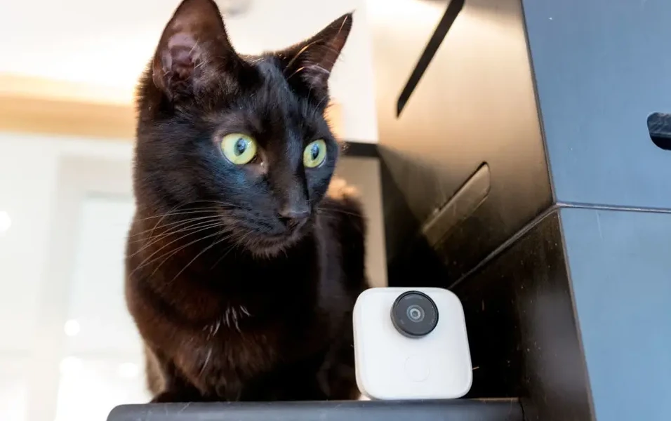 Smart cameras expand from home security to pet care