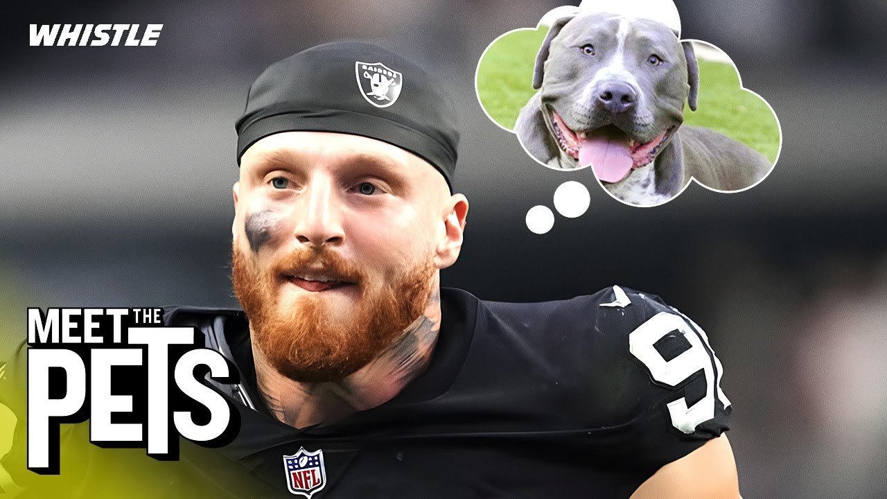 Meet the NFL’s biggest dog lovers!