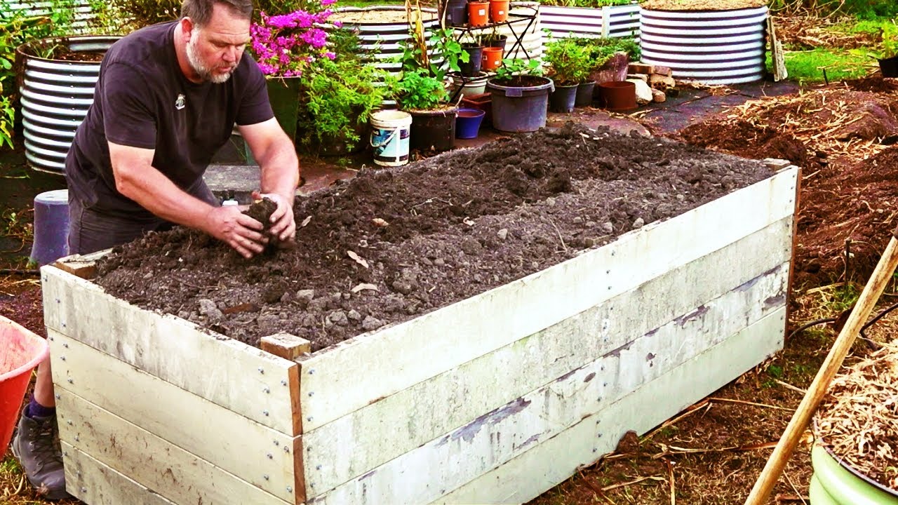 How to fill raised garden beds for free | Mark’s sustainable gardening tips