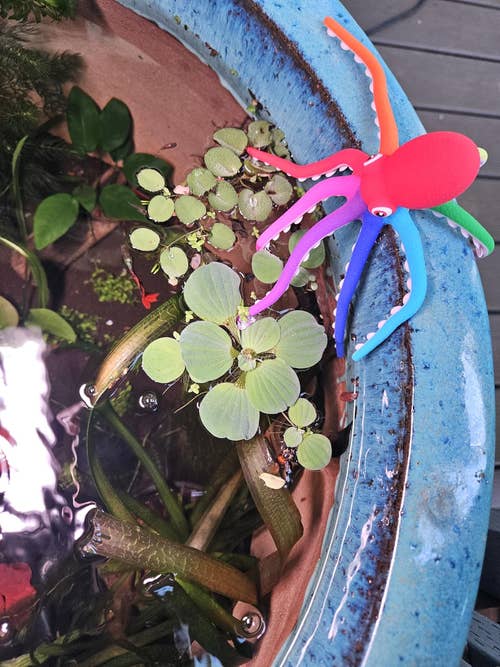 Toy octopus with colorful legs placed on the edge of a blue planter with water and floating plants