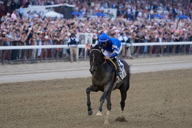 Michigan horse racing commissions announces grant recipients