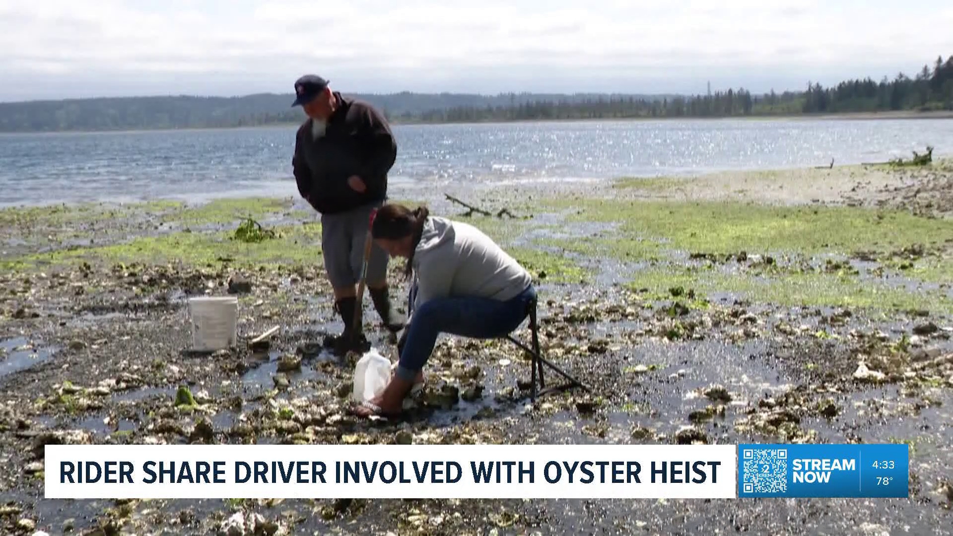 Washington state broke up an oyster poaching operation