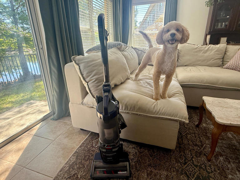 Bissell Pet Hair Eraser DualBrush review: The best vacuum we've tested ...