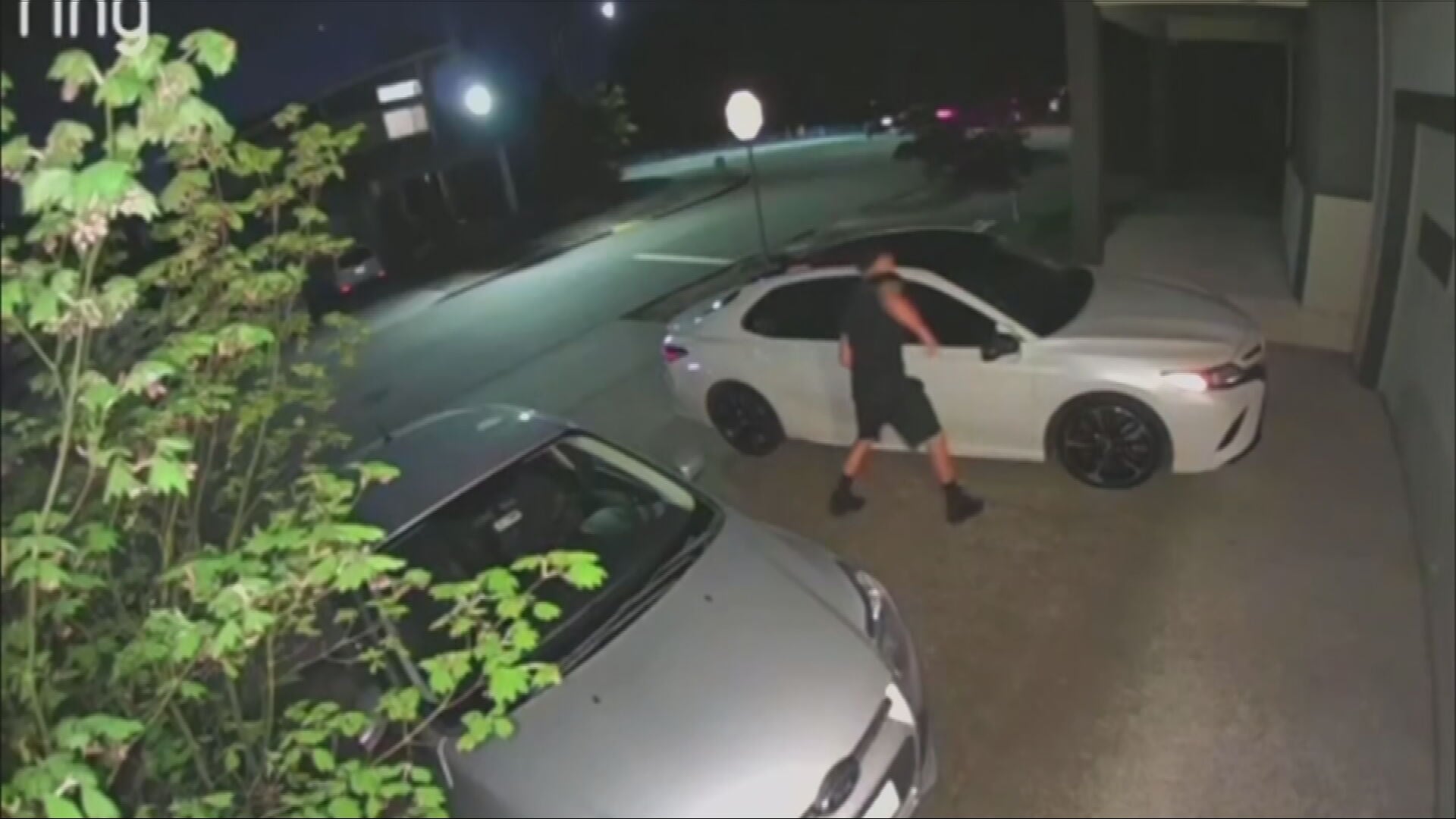 Caught on camera: Man slashing tires in Renton neighborhood