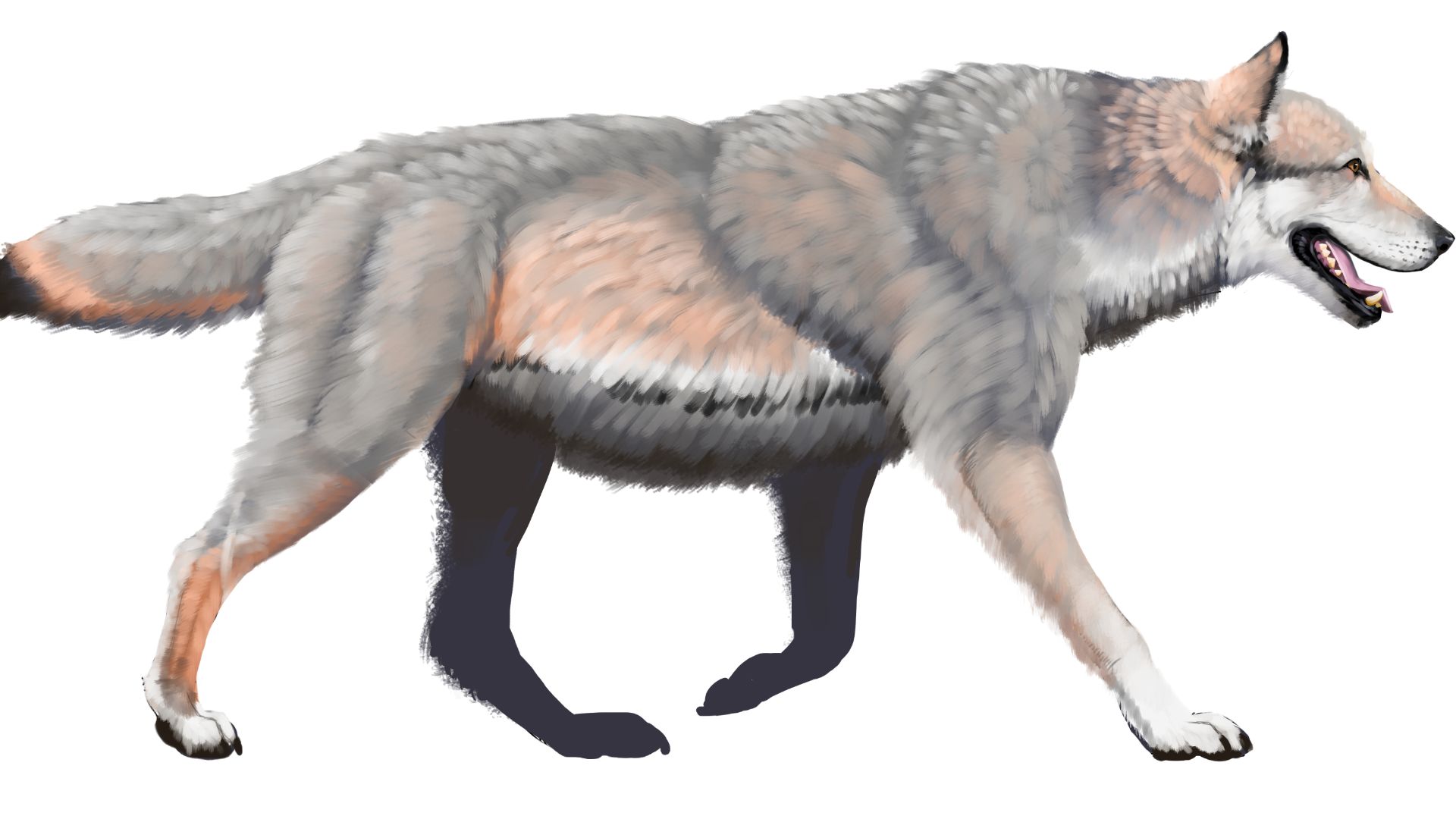 20 extinct animals that sound like they came from a fantasy novel