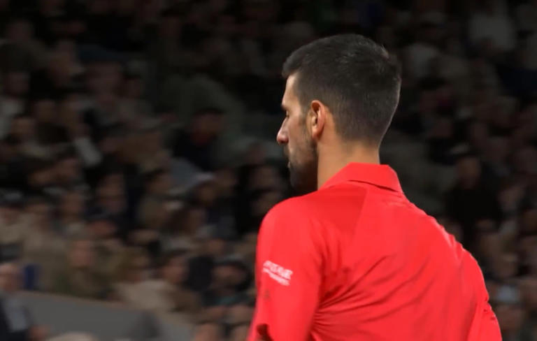 Novak Djokovic still best equipped to challenge Jannik Sinner - it's ...
