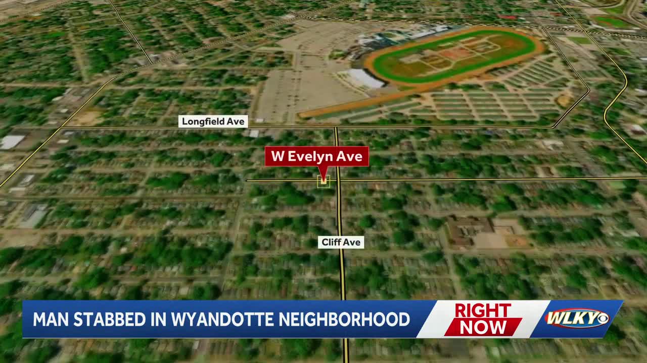 LMPD: Man hospitalized with stab wounds after fight with woman in ...