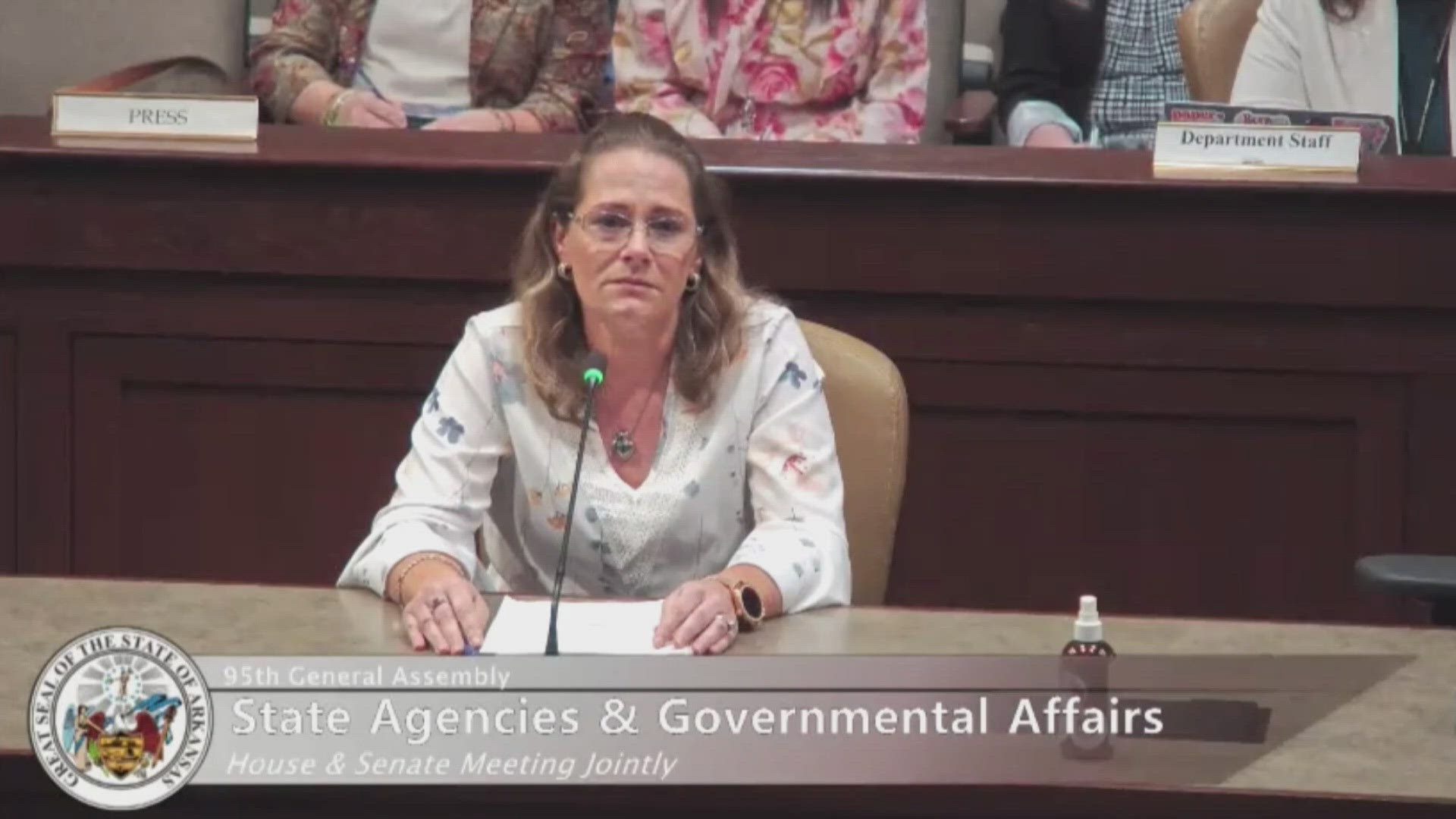 Arkansas DHS leaders grilled during emotional hearing on 2025 care ...
