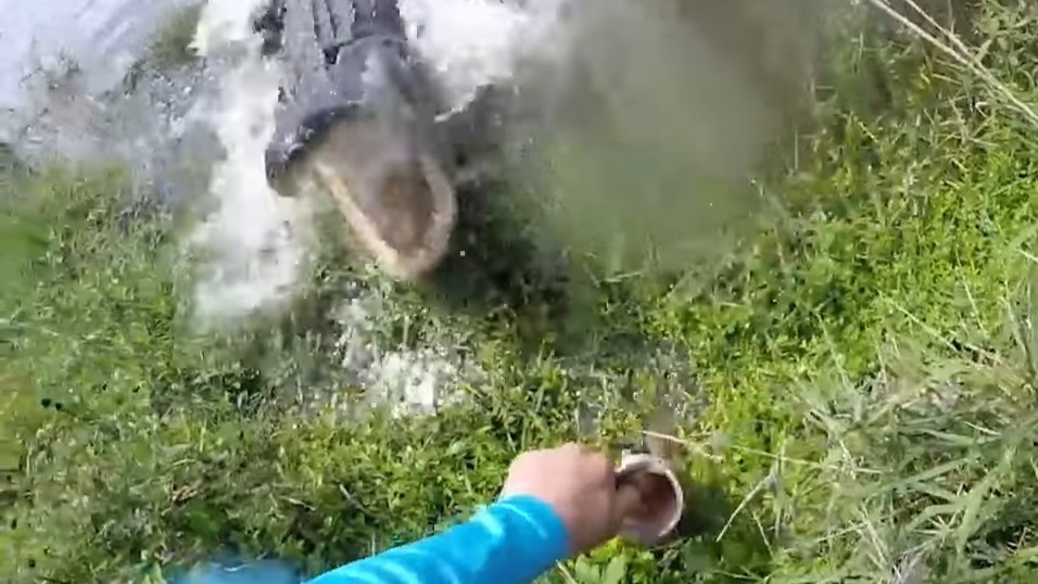 One inch from losing his hand - alligator snaps at fisherman in ...