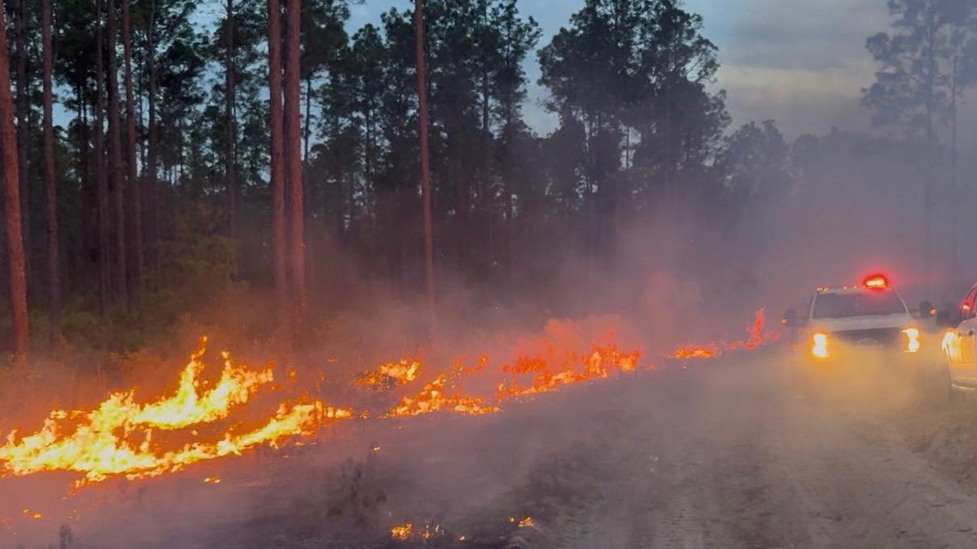 Lochloosa West wildfire nears 1,000 acres in Alachua County