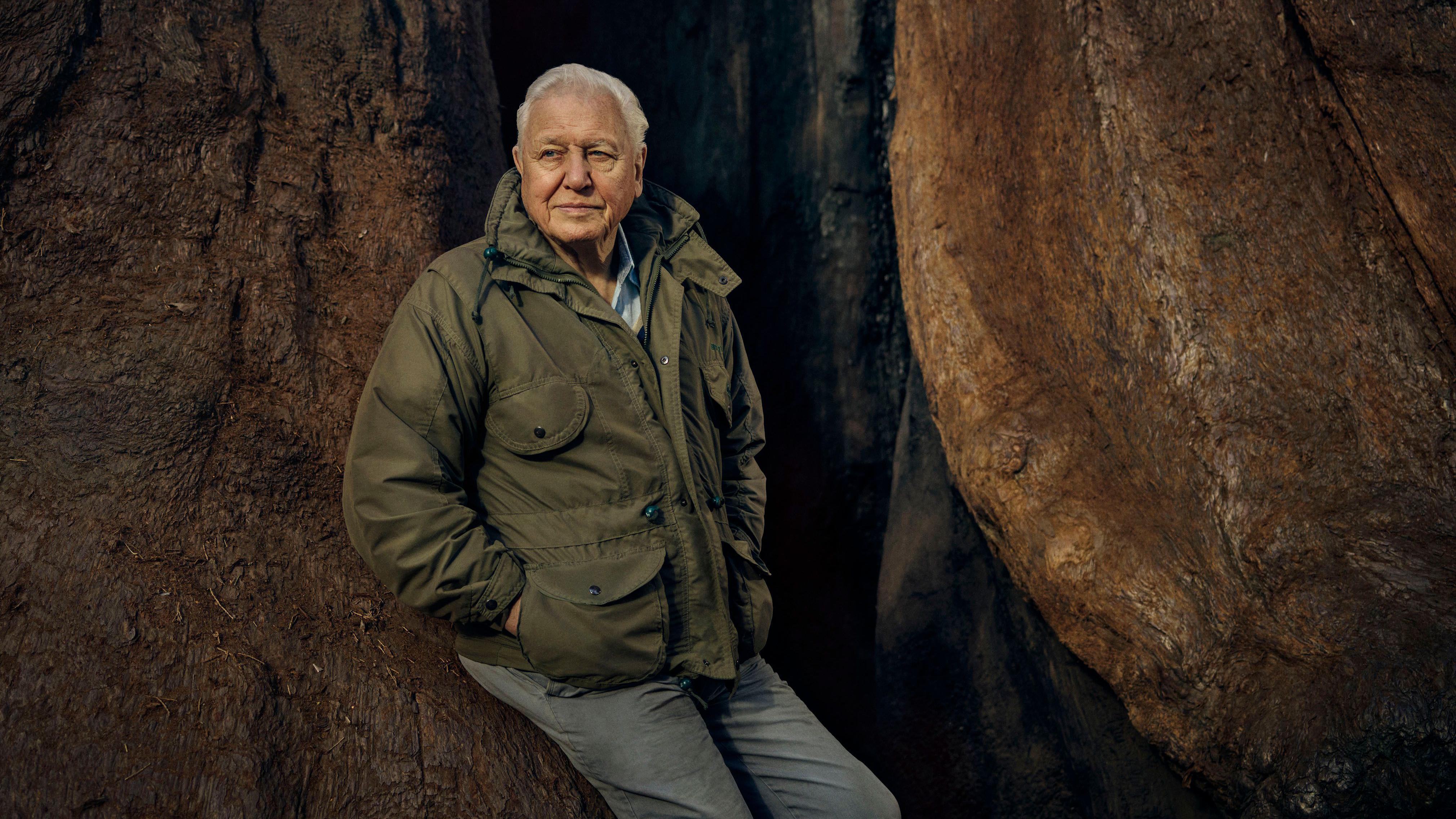 Zoo hopes to inspire on Attenborough's 100th