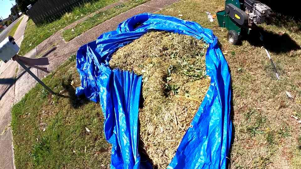 She did not expect this tall grass rescue at all