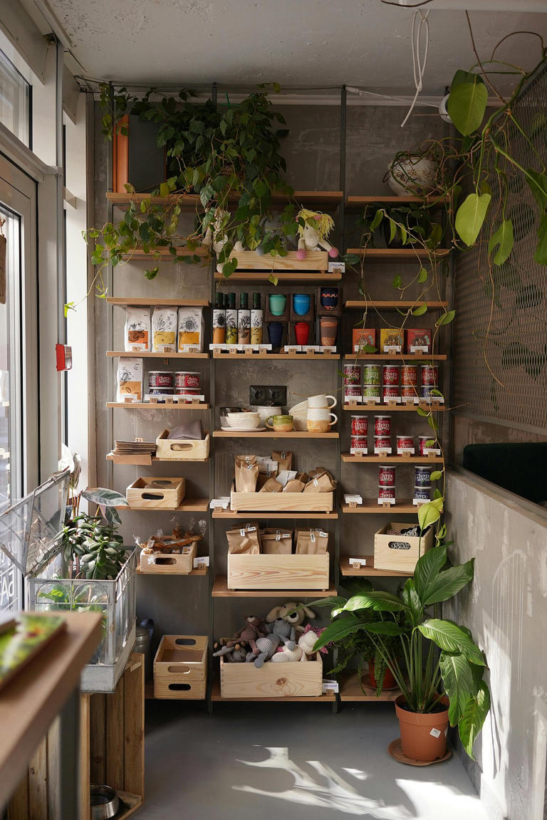 6 food storage mistakes to avoid this summer