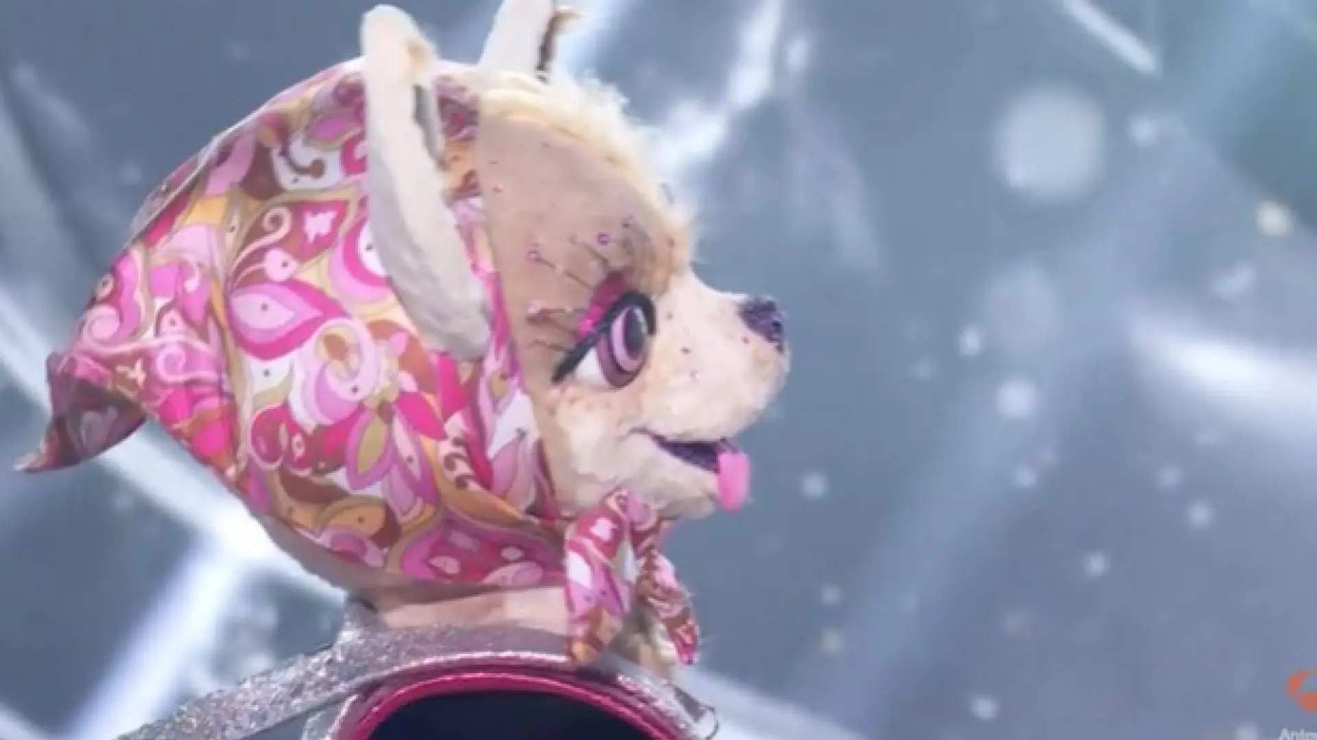 La bomba de 'Mask Singer': la política que se escondía bajo Chihuahua ...