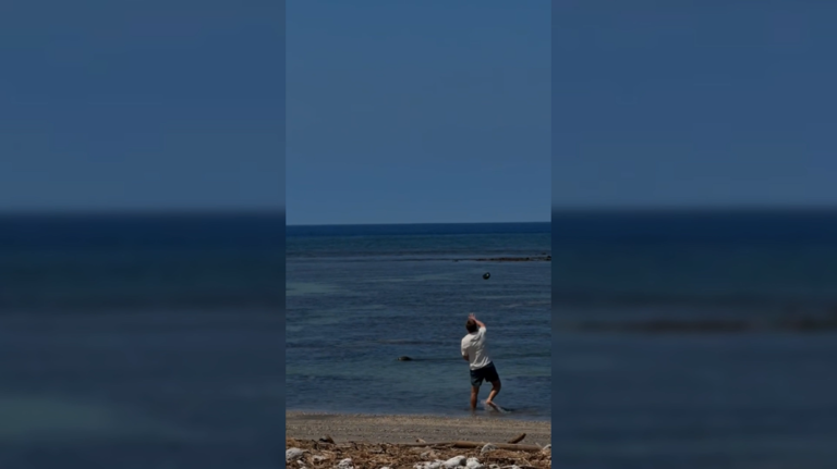 Maui mayor vows prosecution for endangered monk seal attack