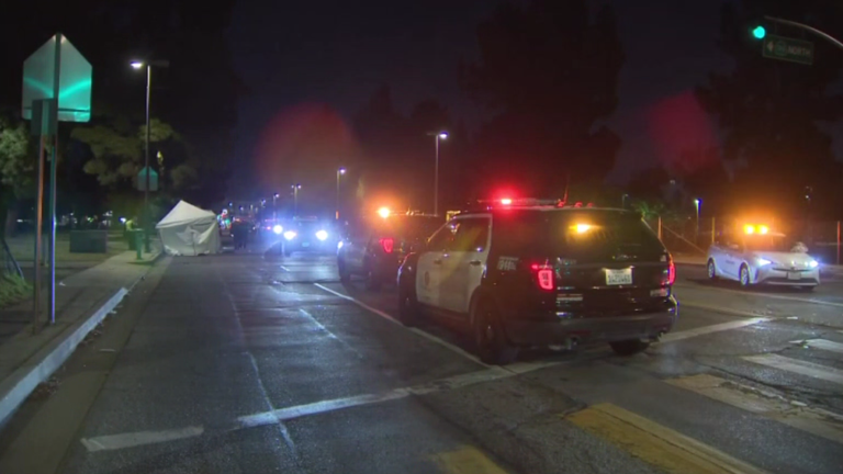 Pedestrian fatally struck by North Hollywood hit-and-run driver, Los ...