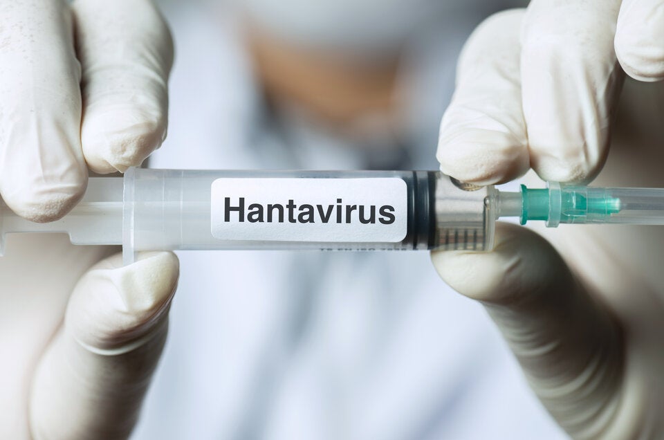 who-das-ist-der-aktuelle-stand-beim-hantavirus