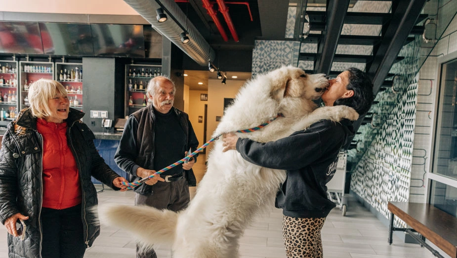 Experts share early signs your dog bond may be fading