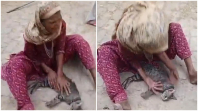 UP woman cries inconsolably after pet cat's death, heartbreaking video ...