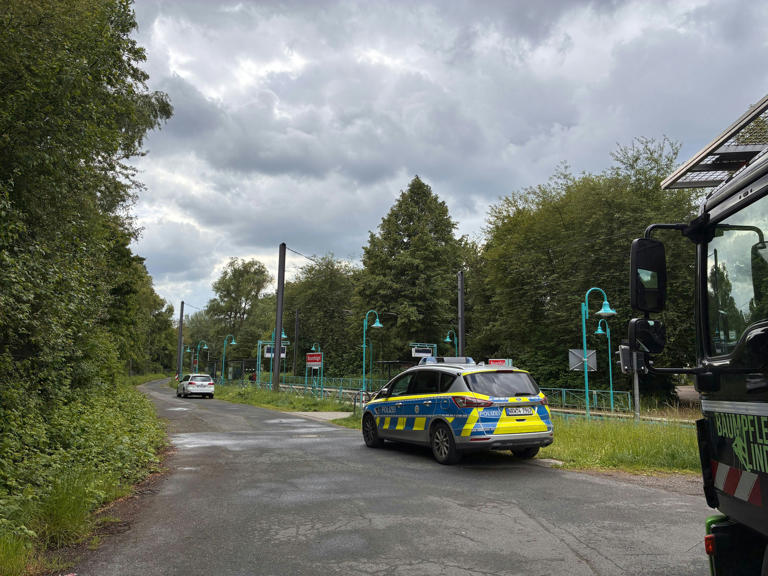 Politischer Hintergrund? Baumstamm stürzt auf KVB-Oberleitung in Köln ...