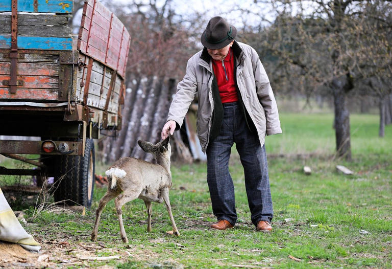 What people who stayed sharp into their eighties did differently every day