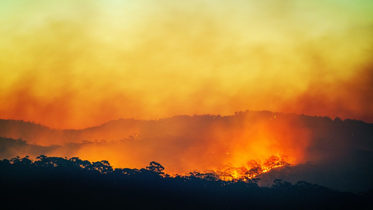 Once-in-a-century 'super' El Niño in the cards as ocean temperatures reach near record highs