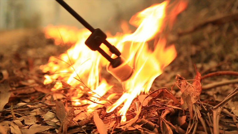 How controlled burns can help prevent wildfires