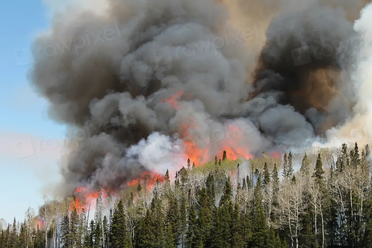 5. Portland, Oregon - Where Smoke Season Is Now Just Season