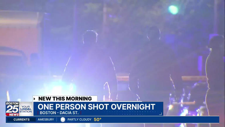 Boston police investigating early morning shooting that left victim in ...