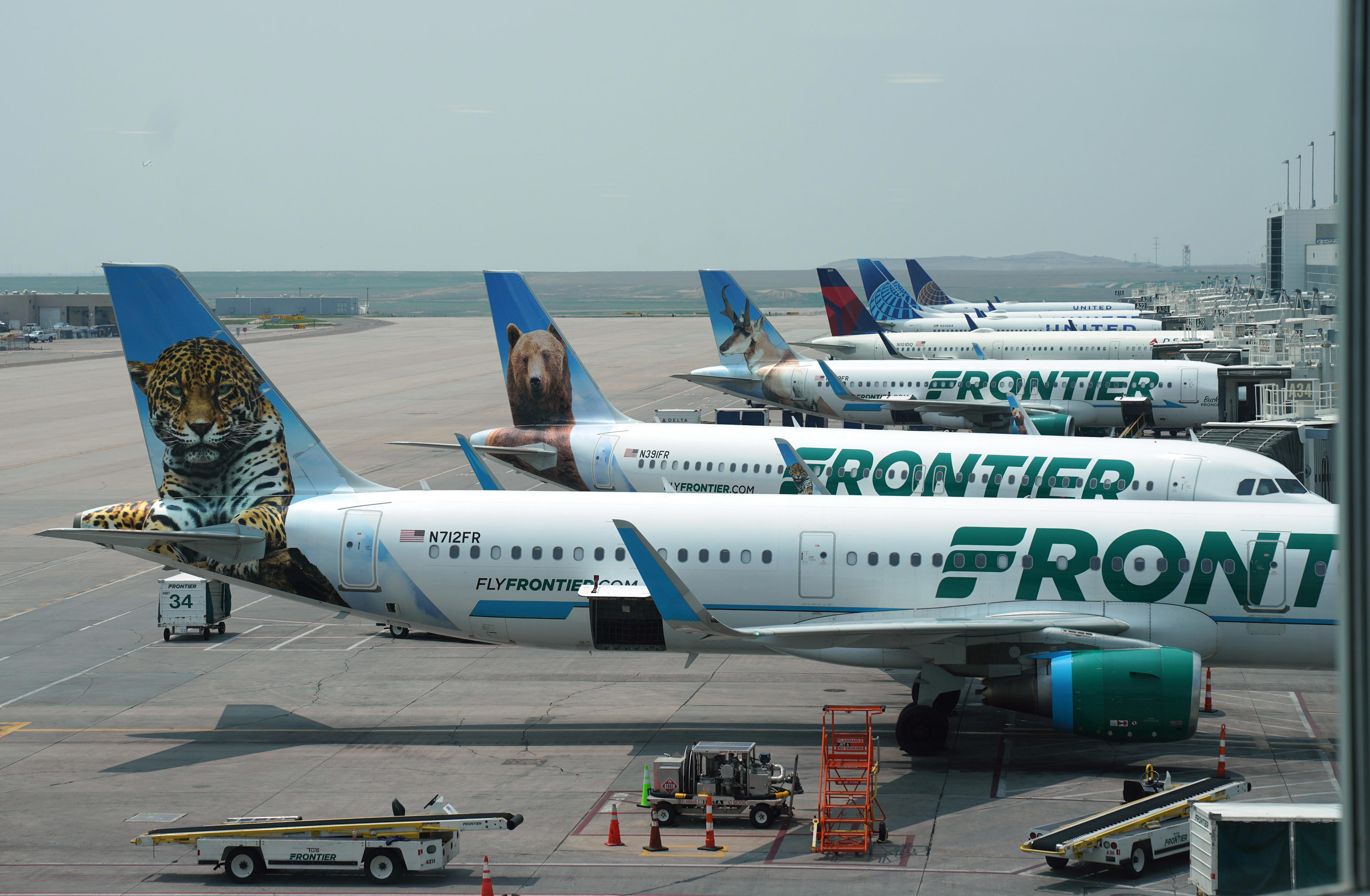 A row of airplanes from Frontier and United at Denver International Airport.