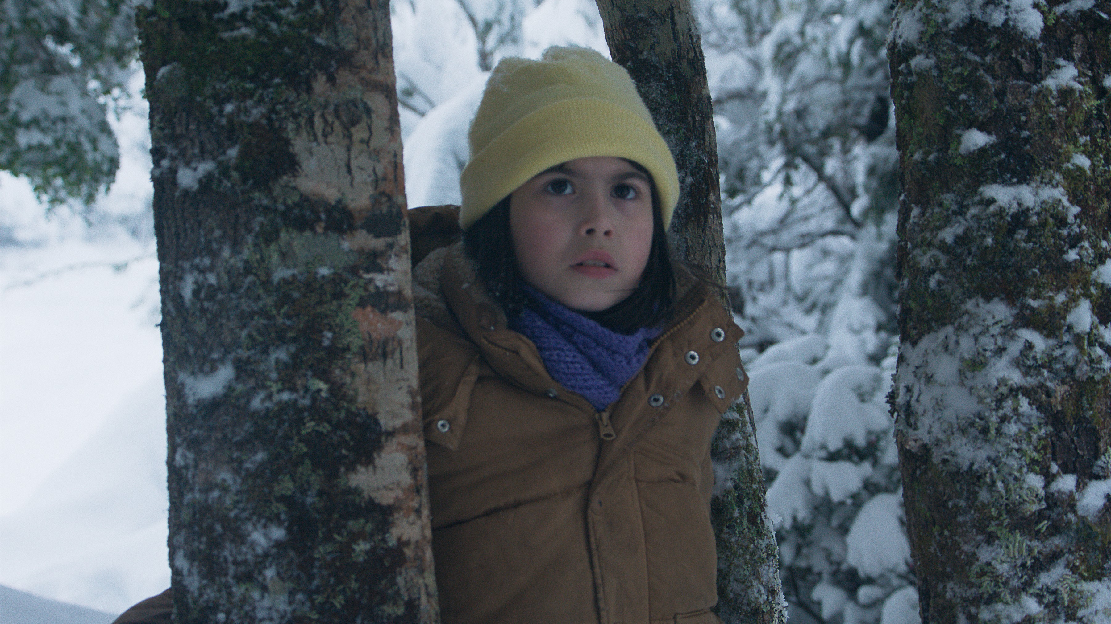 The Meltdown review: Slow-burn mystery set in Chile's wintry Andes
