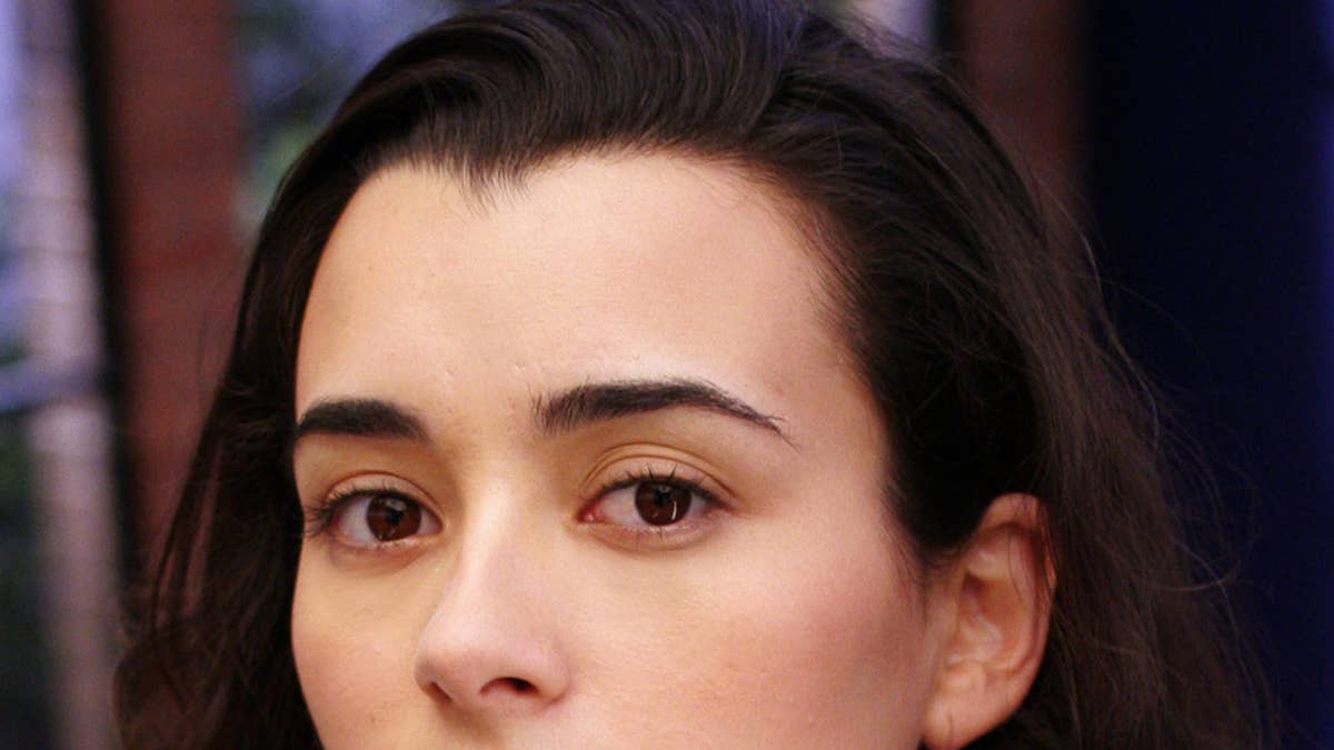 Discover what the original 'NCIS' cast members are doing in 2026
