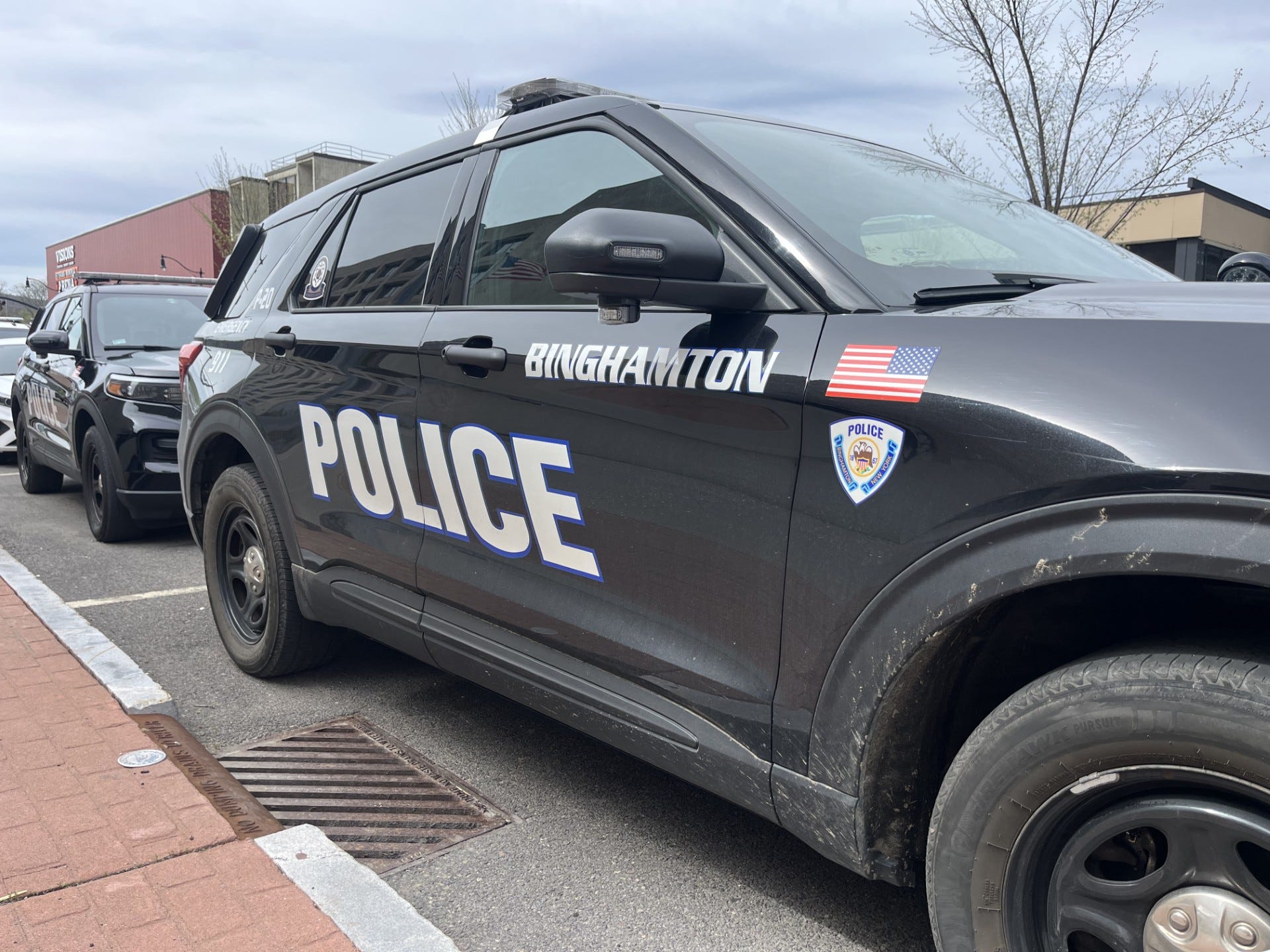 Johnson City man charged with attempted kidnapping at park