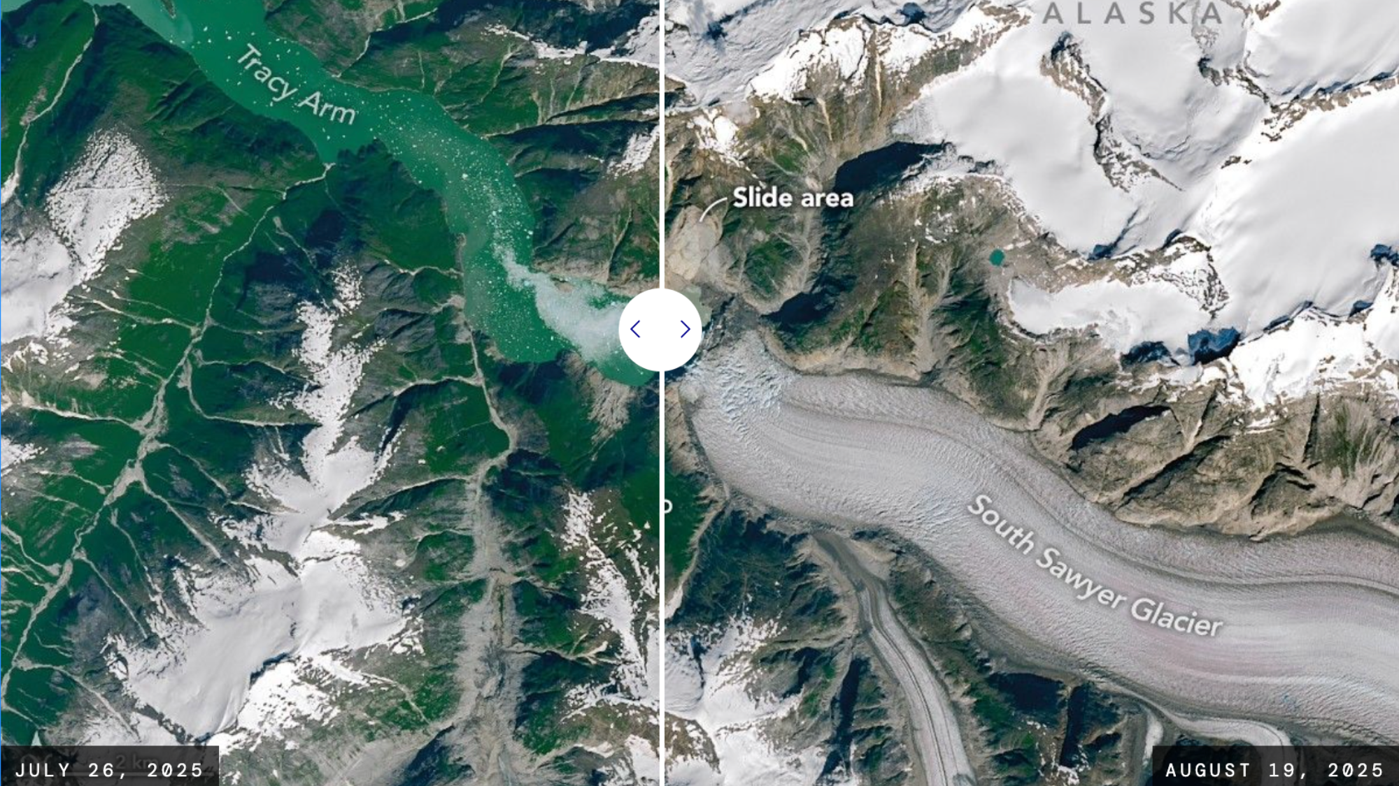 The shores of Tracy Arm, a fjord in southeast Alaska, are stripped of vegetation following a landslide and tsunami that occurred on August 10, 2025. The OLI (Operational Land Imager) on Landsat 8 and Landsat 9 show the area in the weeks before and after the event, respectively.