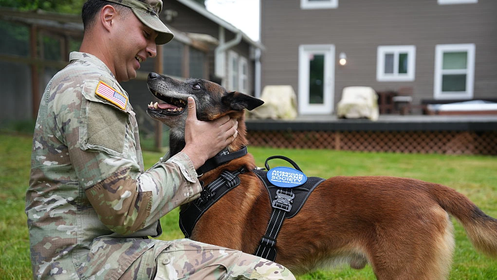 Experts share early signs your dog bond may be fading