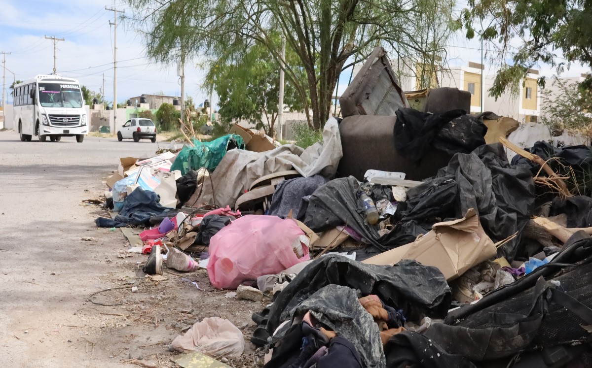 Diario recogen hasta 30 toneladas de basura de las calles de Torreón ...