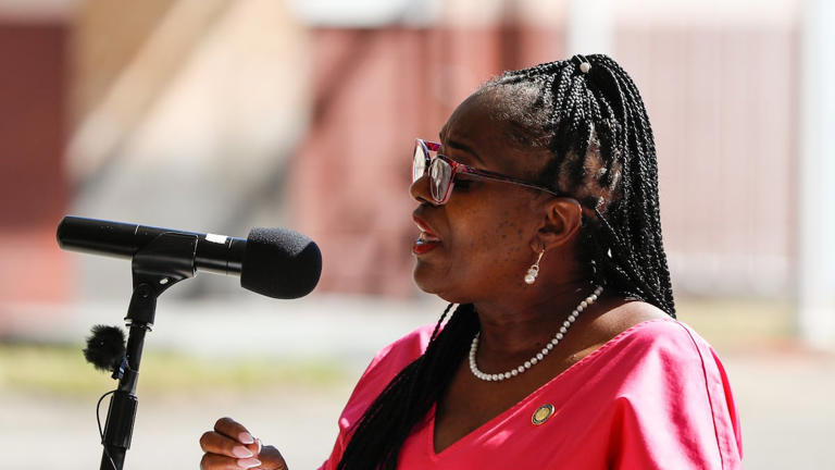 Florida’s new congressional map splits up Black voters in Tampa Bay