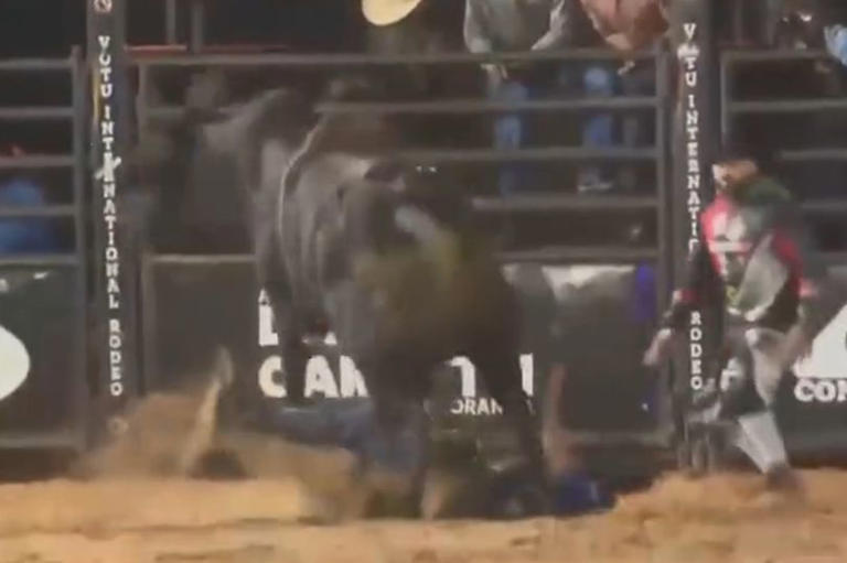 Horror moment rodeo rider dad died after bull bucked him off and ...