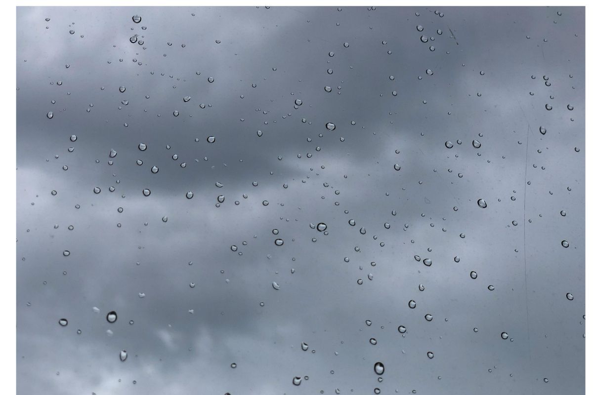 Weather: Cloudy skies, showers and coastal winds expected